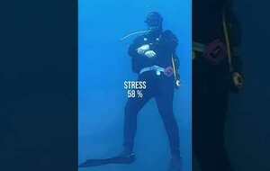 La plongée, réduction de stress