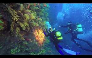 Ballet aquatique - BEGUR 2017 - GAPA NARBONNE