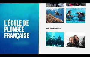 Forum des associations