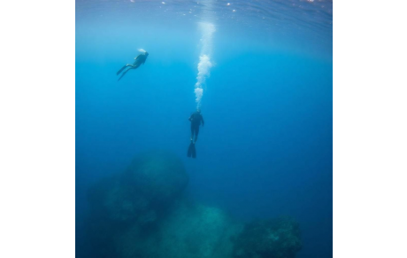 Les gestes de sécurité en plongée – Lorsque l’océan exige respect et rigueur